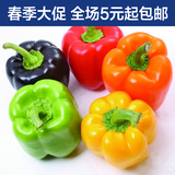 辣椒 五彩甜椒种子 阳台四季播种 秋冬季蔬菜种子 春季种 种子
