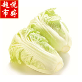 【悦婷超市】农家 大白菜绿色种植1500g无公害蔬菜新鲜 16:00截单