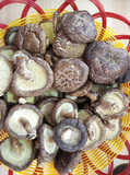 客家苏区长汀土特产野生树菇干货特级椴木花菇干货蘑菇绿色农产品