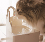 【猫奴小馆】日本CattyMan多格漫猫用流水净化自动静音饮水机