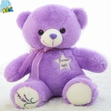 最美薰衣草小熊充电暖手宝热水袋泰迪熊公仔紫色抱抱熊毛绒玩具