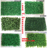 仿真草坪40*60成品草皮 人造草皮塑料假草坪装饰米兰草背景植物墙