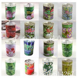 易拉罐植物 迷你罐头花卉种子 水果办公室内种植 桌面绿植创意