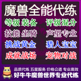 魔兽世界代练好牛魔兽1-90-100等级1-20坐骑装备黄金挑战征服混分