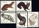 1980年苏联邮票 珍贵的毛皮兽 野生动物 紫貂 水貂 北极狐 集邮