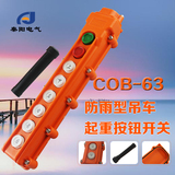 COB-63A　TNHA1-63A防水行车控制按钮开关 起重升降吊车开关 8钮