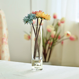 竹插花瓶家居装饰花器摆件创意水晶透明玻璃花瓶圆形直筒水培富贵