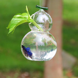 创意花瓶悬挂葫芦水培透明玻璃吊挂花瓶 桌摆花瓶 时尚家居装饰