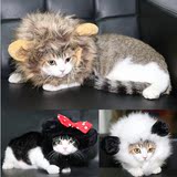 IOH猫咪饰品宠物猫咪假发 搞笑狮子头套 猫帽子宠物变身装猫假发