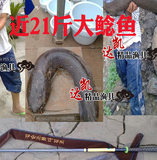 日本进口碳素 韩国鱼竿龙纹鲤4.5/5.4/6.3/7.2米超轻超硬台钓鱼竿