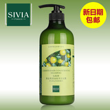 Sivia/仙维娜黄金果焗油亮泽洗发露 改善毛躁 损伤修复洗发水正品
