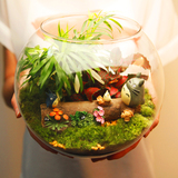 苔藓微景观diy生态瓶创意迷你桌面盆栽植物办公室内龙猫摆件礼品