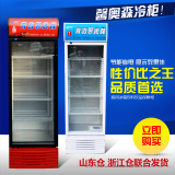 啤酒柜商用立式冷柜 小型冰柜家用 冰吧 冷藏柜展示柜冰柜保鲜柜
