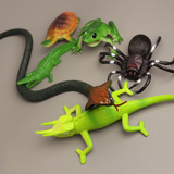 6款昆虫仿真动物模型仿真蛇 学生整蛊玩具 眼镜蛇蜥蜴龟青蛙蜘蛛