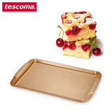 箱专用长方盘模具 铸铁烧烤烘焙工具捷克tescoma正品 家用烤盘 烤