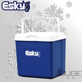 正品ESKY保温箱10L 车载钓鱼便携冰箱 户外冷冻箱 外卖送餐冷藏箱