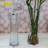 包邮透明玻璃花瓶批发大号富贵竹 现代时尚水培花器水晶花瓶六角