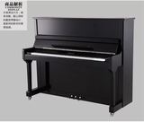 香港CAROD/卡罗德立式钢琴T21 全新进口高端配置黑色经典全国包邮