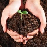 园艺用品工具 专家配置营养土 花卉蔬菜通用花泥 泥炭土 栽花土
