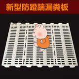 原料塑料漏粪板500*700加重型母猪产床精品小猪位漏粪板
