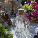 促销小口南瓜玻璃瓶木塞玻璃瓶复古花瓶水培瓶礼品瓶含盖香薰瓶