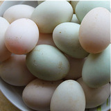 新鲜的农家散养大鸭蛋30枚 吃小鱼小虾的鸭子生的蛋 原生态草鸭蛋