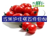 新鲜水果 迷你小番茄 圣女果 千禧果 小西红柿 蔬菜水果沙拉 450g