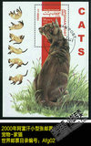 阿富汗2000年发行 小型张 宠物猫 家猫 外国邮票 集邮收藏 盖销