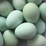 原生态农家散养土鸡蛋新鲜绿壳鸡蛋30枚纯天然自养乌鸡蛋孕妇鸡蛋