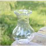厂家批发风信子瓶子绿萝塑料水培瓶时尚插花透明玻璃花瓶花盆包邮