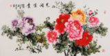 纯手绘四尺横幅客厅写意花鸟牡丹花开富贵名人字画国画真迹中国画