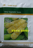 多美滋肯德基专用高档鲜食型超甜玉米水果玉米种子100g春播促销