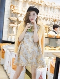 日本代购女装春季新款lily brown蕾丝钩花连衣裙dl LWFO161059