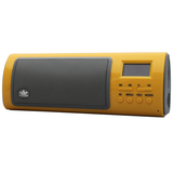 ROYQUEEN/朗琴 X6III插卡音箱便携迷你小音响FM收音MP3散步机