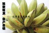 广西新鲜水果有机青芭蕉 芭蕉大蕉大牛蕉 8斤全国包邮