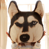个性创意 萨摩哈士奇 3D大狗头靠垫抱枕大号公仔 汪星人生日礼物