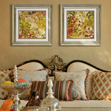 美式经典客厅装饰画 现代欧式卧室床头二联植物花鸟小清晰壁挂画