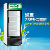 TONBAO/通宝LG4-238商用立式冰柜 展示柜 家用冷饮保鲜冷藏柜冰箱