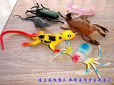 包邮野生海洋恐龙农场昆虫仿真大号动物模型儿童玩具早教认知