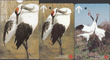 上海地铁卡纪念卡 中国珍稀动物-丹顶鹤2全 带封套