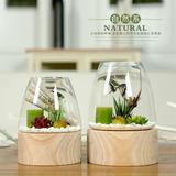 自然系透明烛台玻璃罩摆件 加厚实木底座玻璃罩家居软装工艺饰品