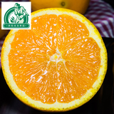 新鲜水果麻阳尝鲜橙子农家自产自销冰糖橙PK赣南脐橙65mm水果10