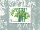 【环球邮社】邮局正品 新中国1993-7M 竹子小型张邮票1全新