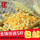 农家自产玉米糁 玉米渣 玉米碴子苞米茬子 粗玉米 熬粥必备 250克