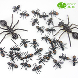 仿真大小蚂蚁模型塑胶仿真动物儿童玩具昆虫多足大头蚂蚁影视道具