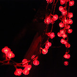 LED彩灯闪灯圣诞新年婚庆喜庆庭院装饰灯串灯节日物品红灯笼灯串