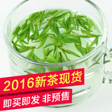 2016新茶现货非预售 雀舌茶叶 绿茶 明前特级雀舌 2016年春茶250g