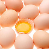 【天猫超市】江苏散养苏北草鸡蛋15枚 鲜鸡蛋 土鸡蛋草鸡蛋egg