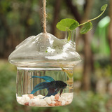果子家 蘑菇小屋玻璃吊瓶 房子悬挂水培花瓶 田园风创意鱼缸摆件