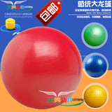 感统训练器材大龙球儿童玩具球充气球按摩球瑜伽球户外休闲运动球